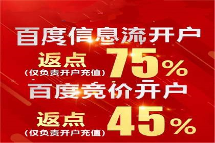 百度竞价推广成功案例解析